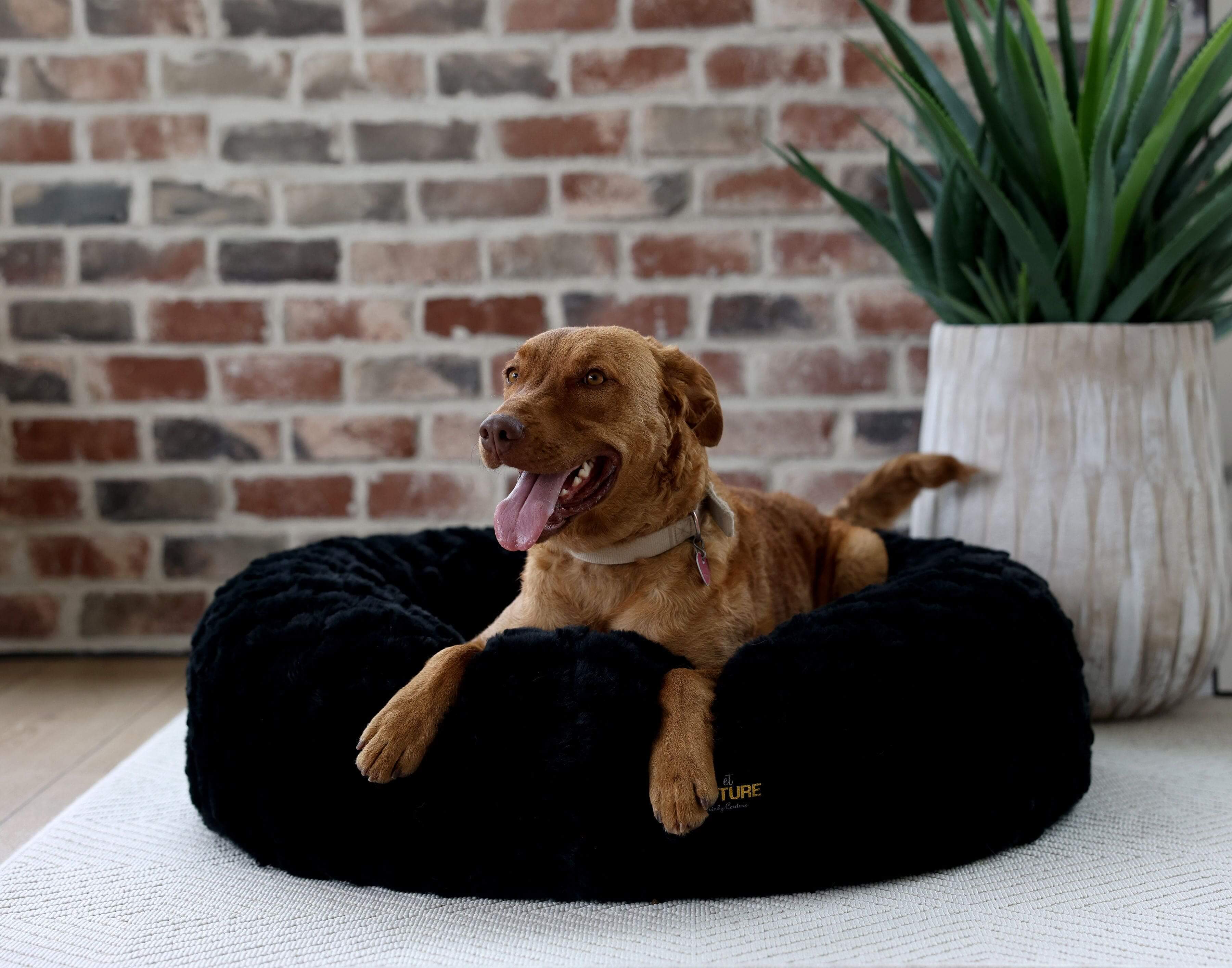 Black Crinkle Pet Bed COVER ONLY - Image 5