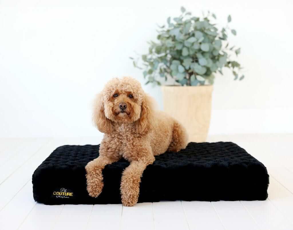 Black Crinkle Pet Crate Pad COVER ONLY - Image 3