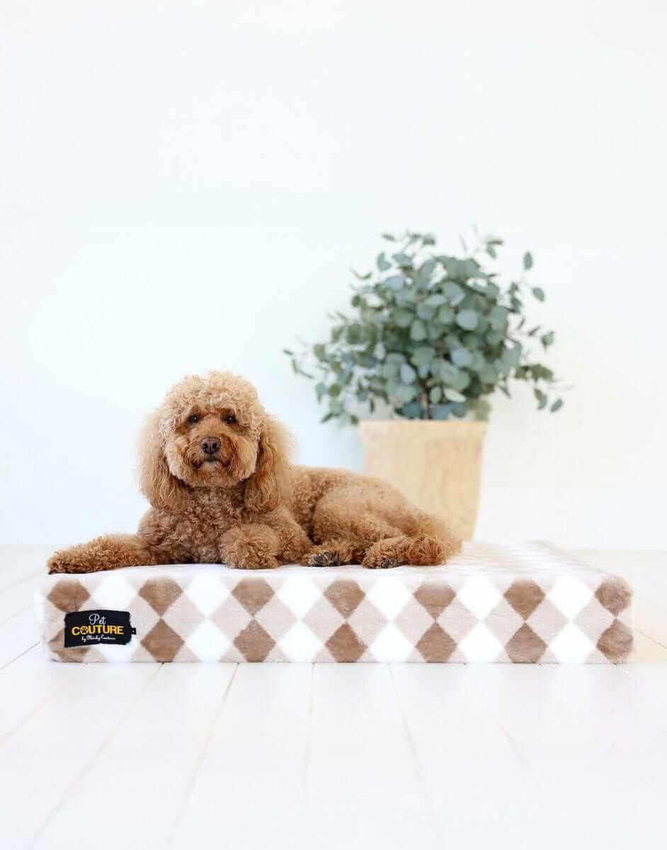 Brown Argyle Pet Crate Pad - Image 3
