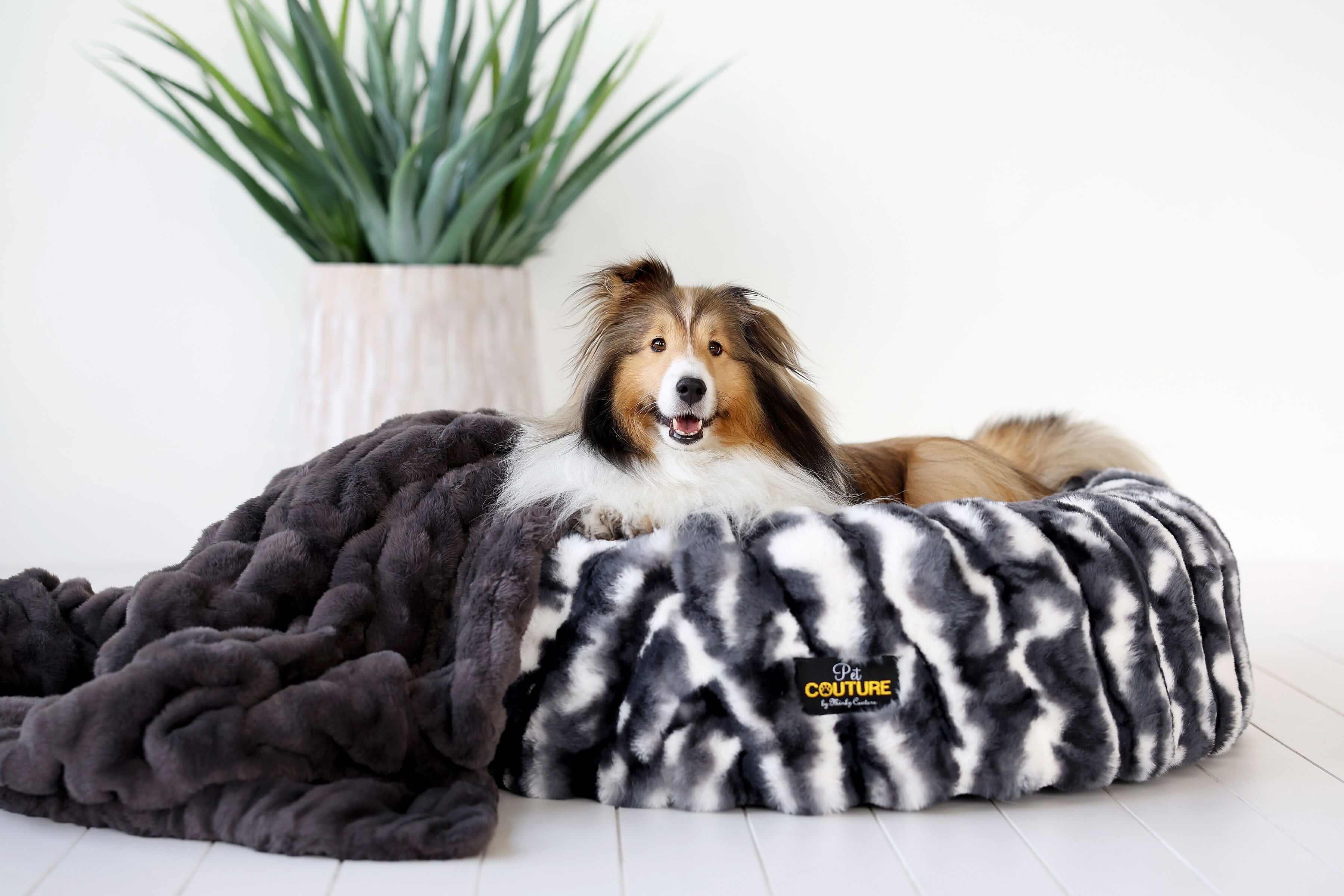 Cloudy Day Black Pet Bed COVER ONLY - Image 3