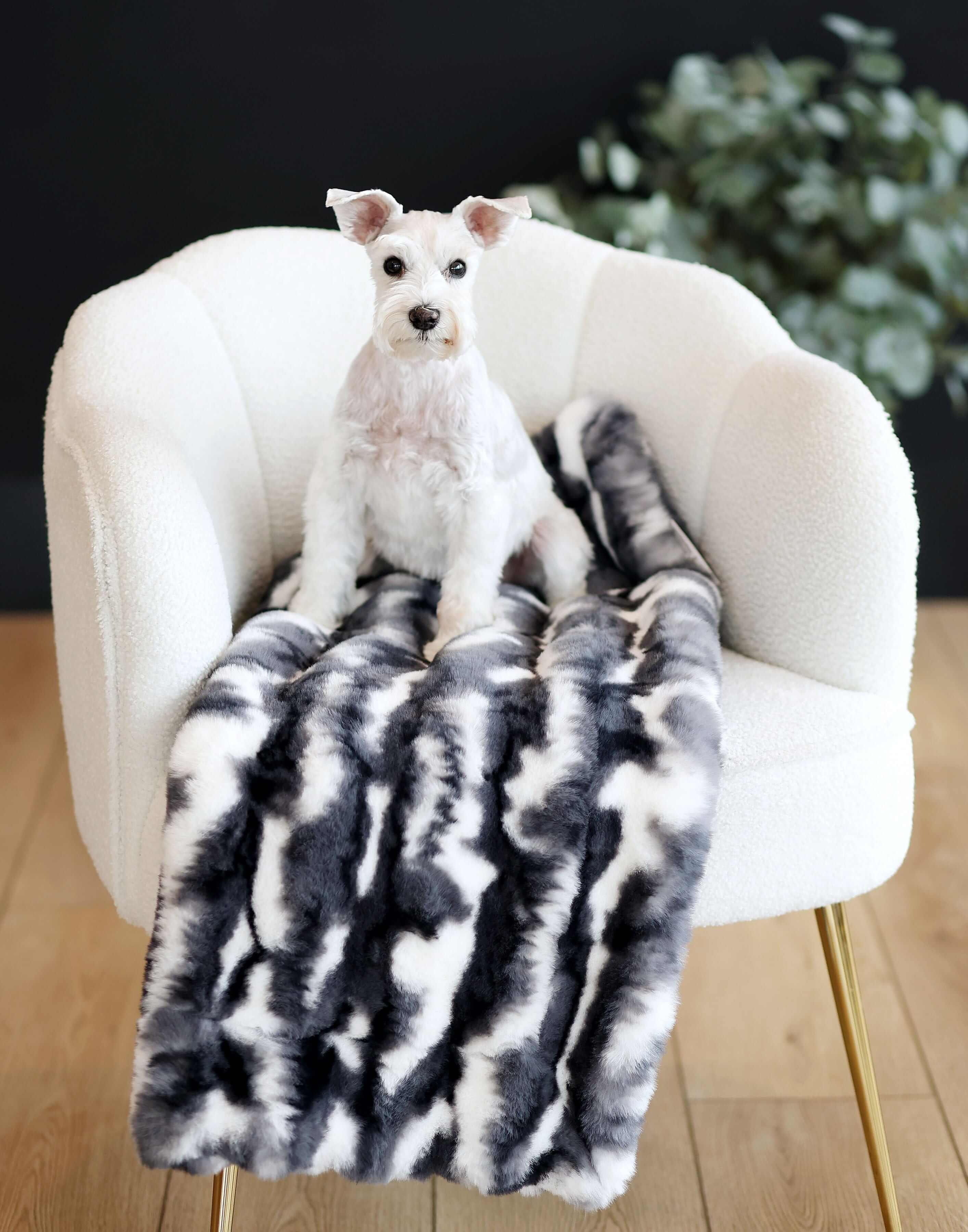 Cloudy Day Black Pet Blanket - Image 2