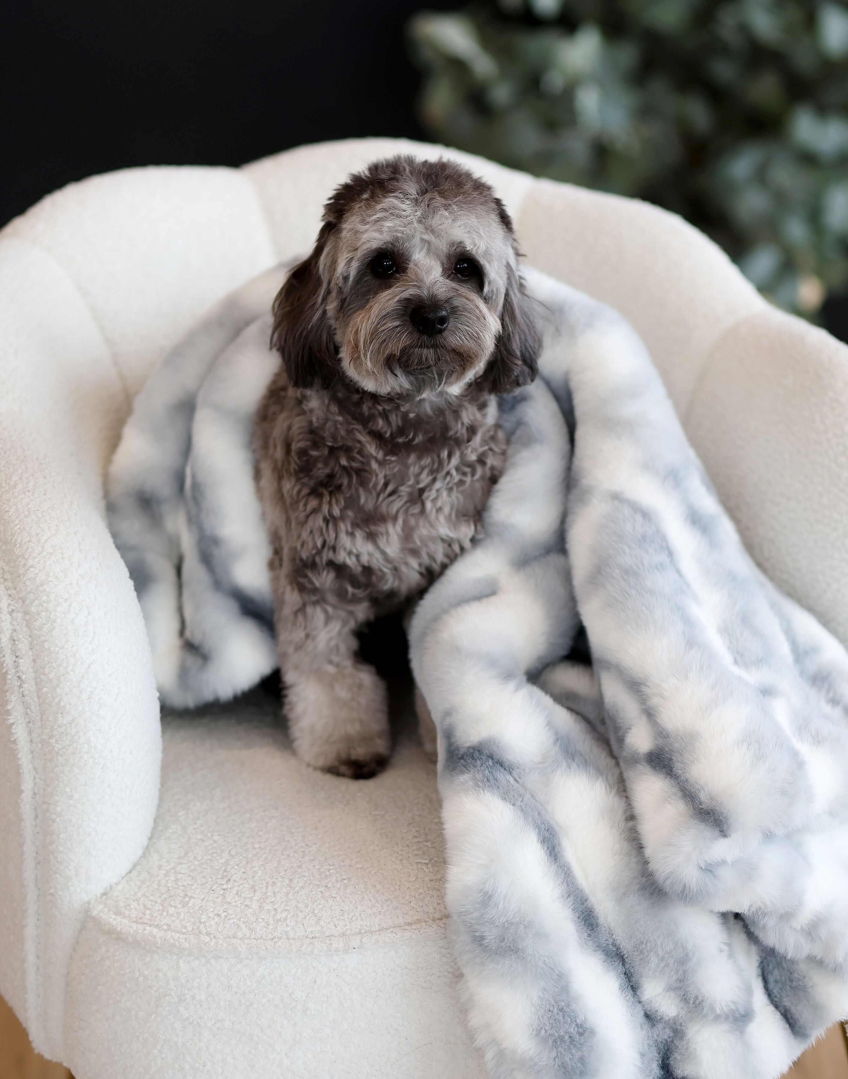 Cloudy Day Blue Pet Blanket