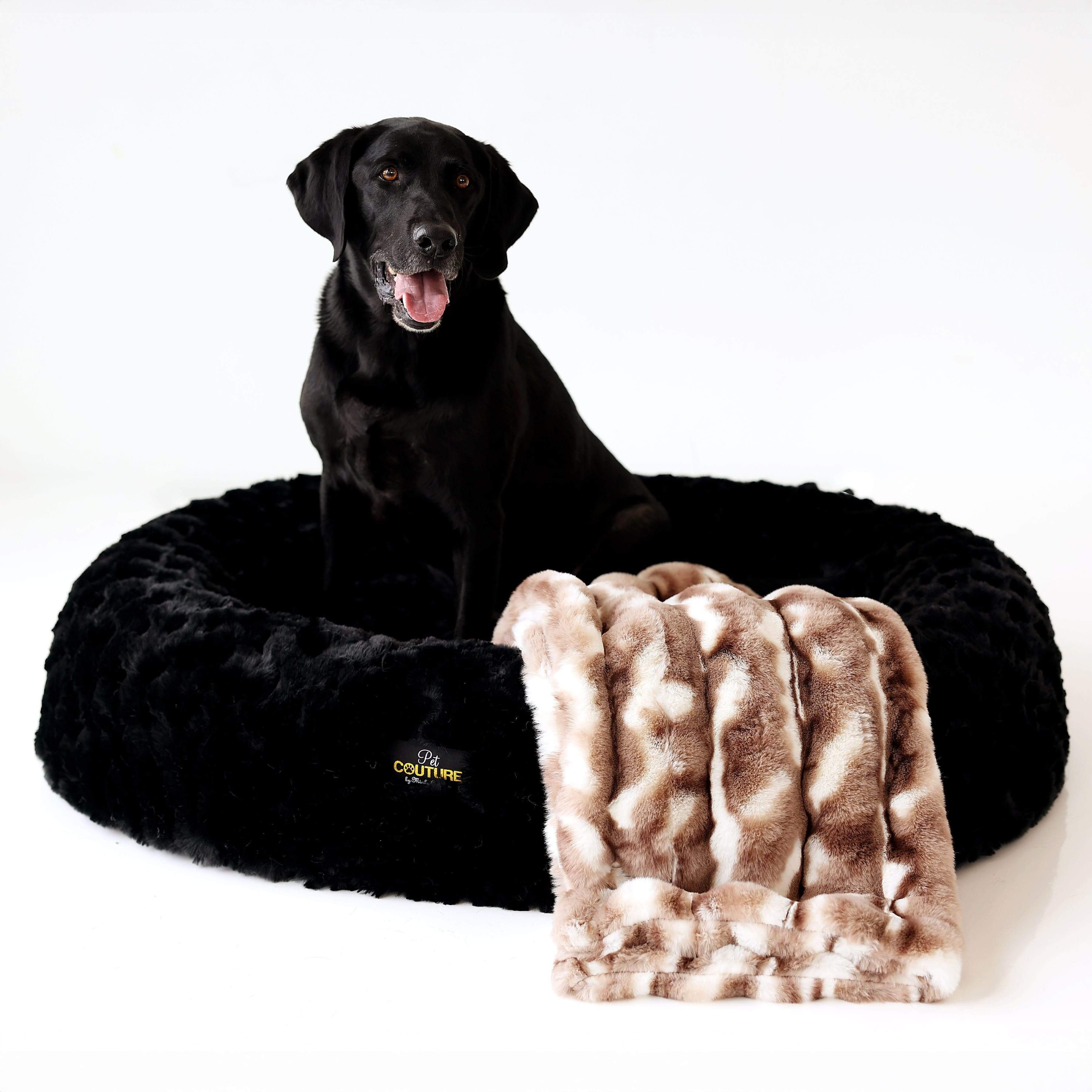 Cloudy Day Brown Pet Blanket - Image 2