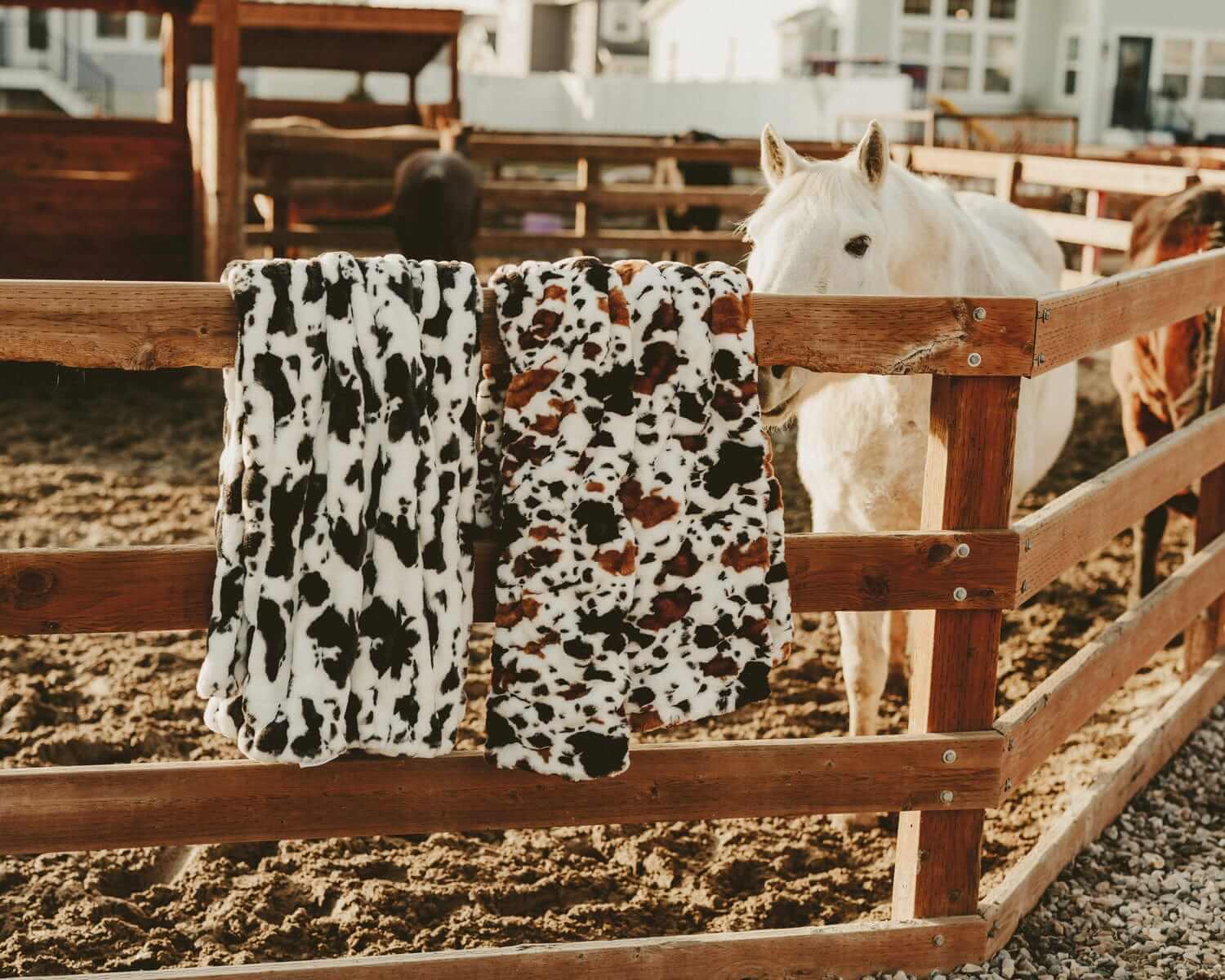 Hugs Brown Cow Blanket - Image 4