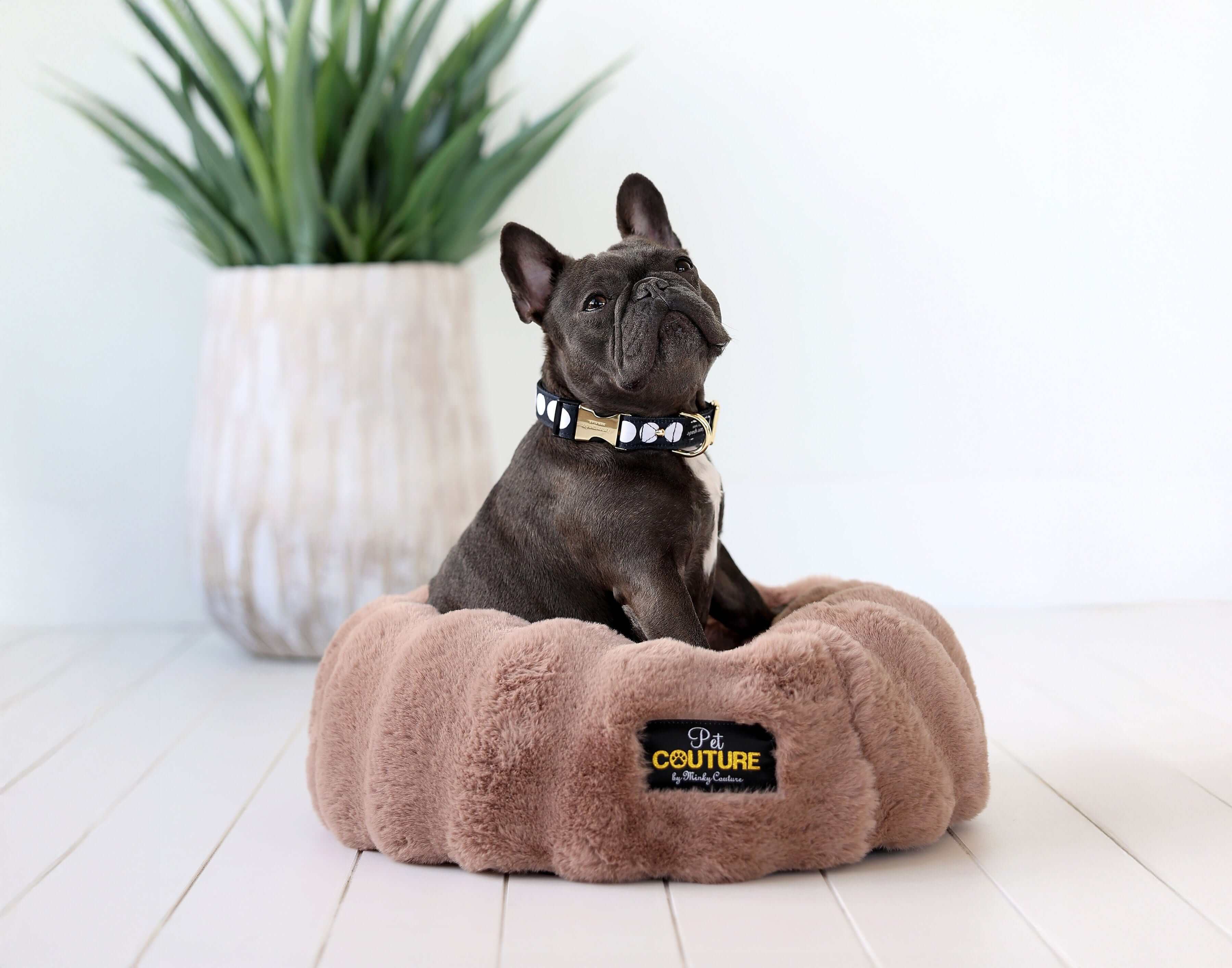 Milk Chocolate Pet Bed - Image 4