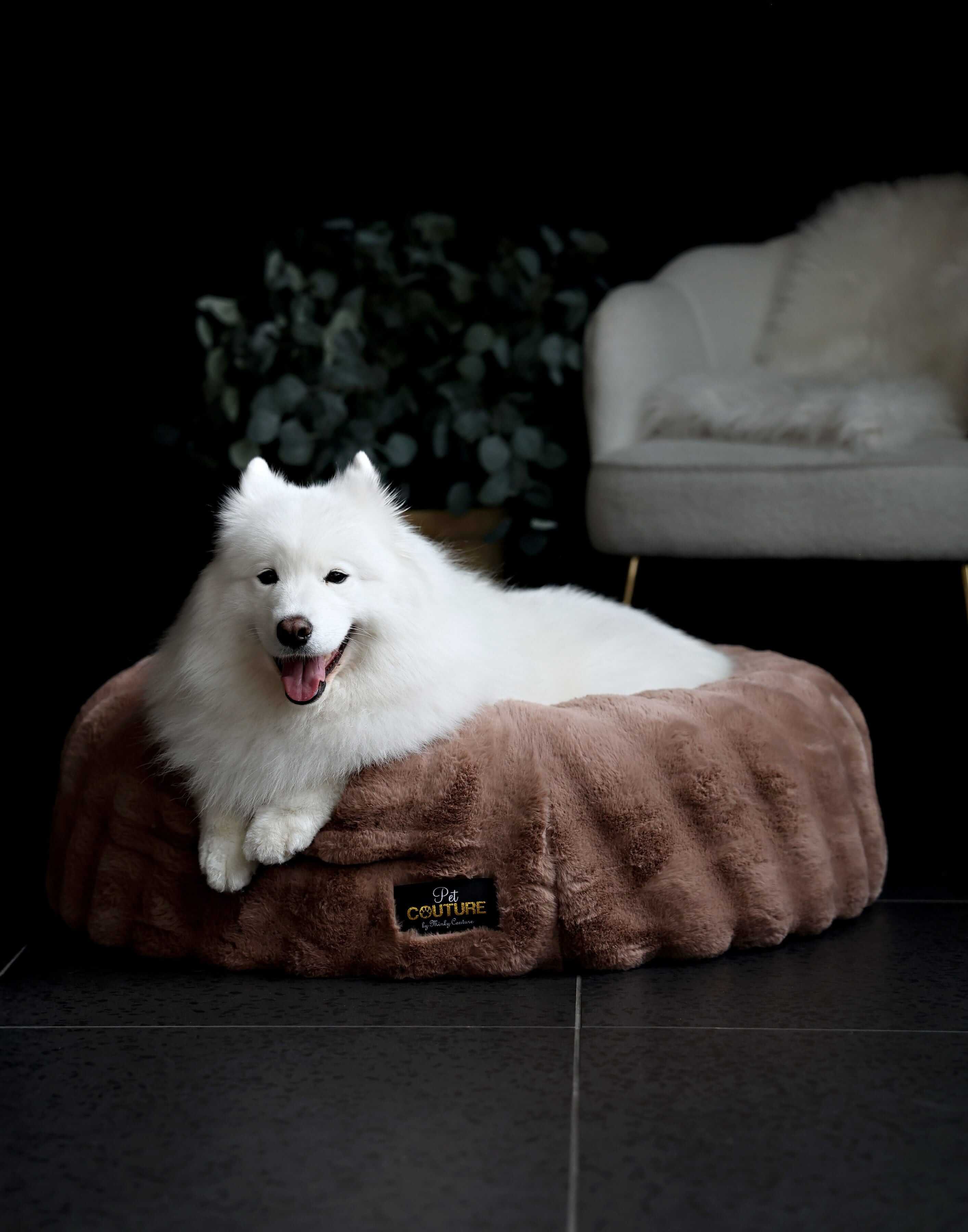 Milk Chocolate Pet Bed COVER ONLY - Image 5