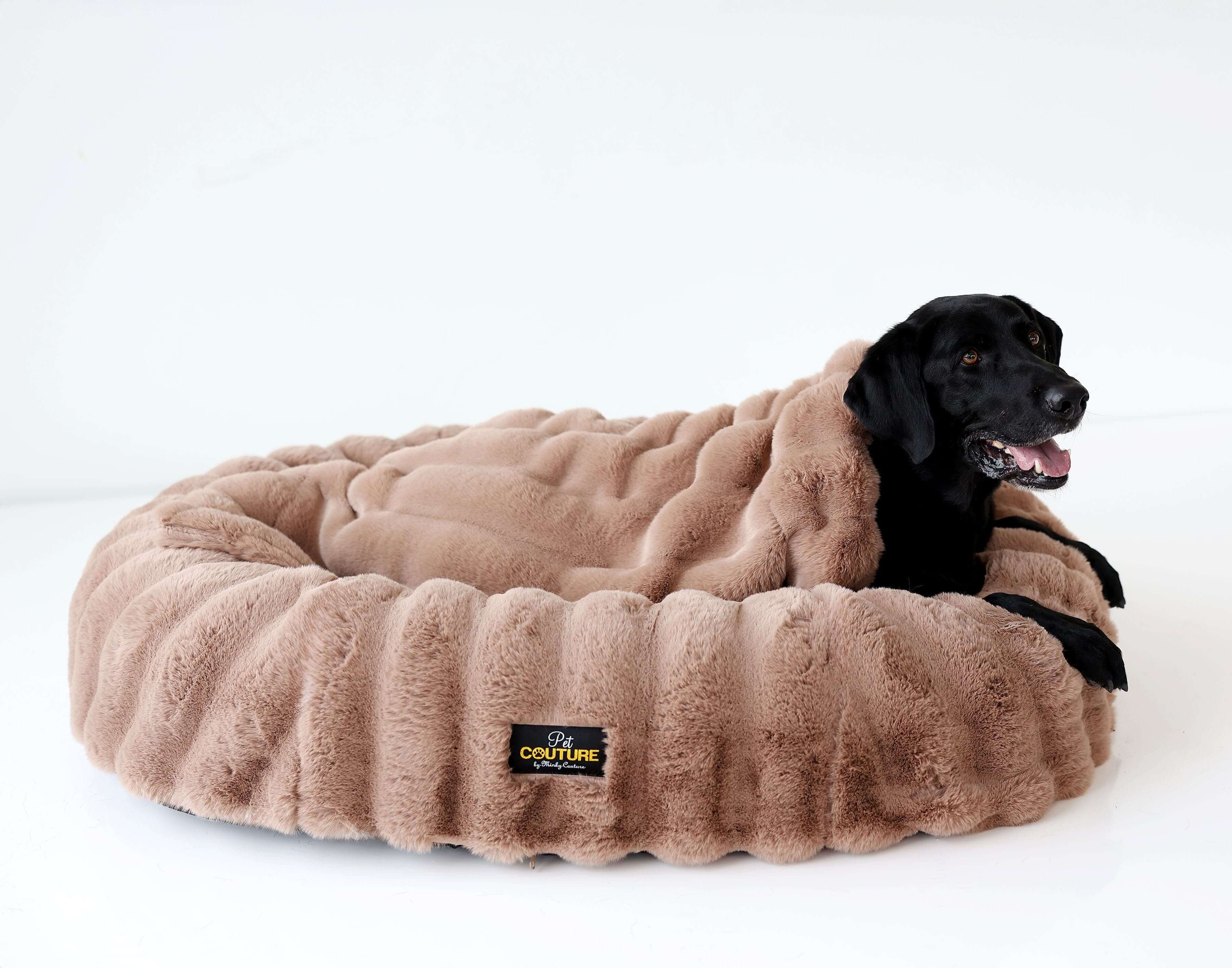 Milk Chocolate Pet Blanket - Image 2