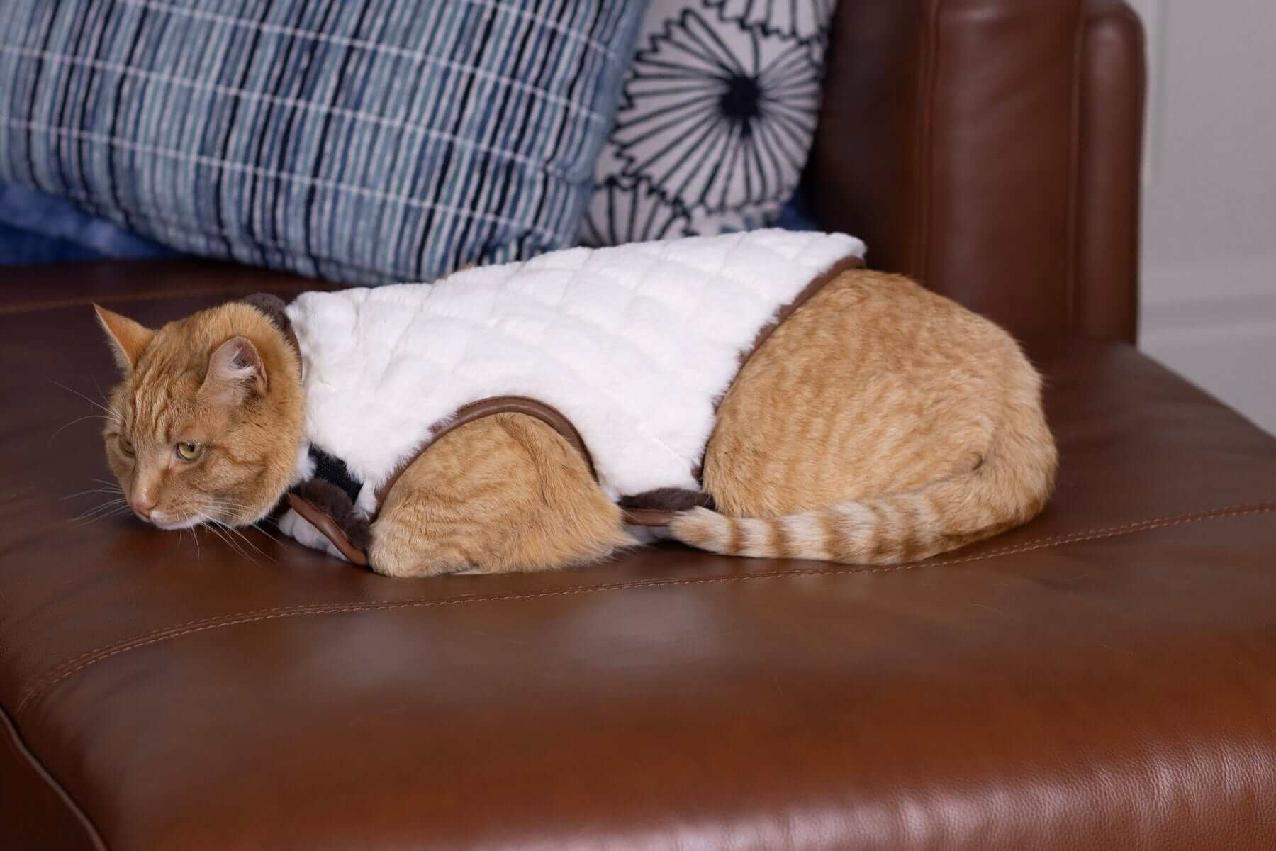 Pet Vest - Cream/Dark Brown - Image 4