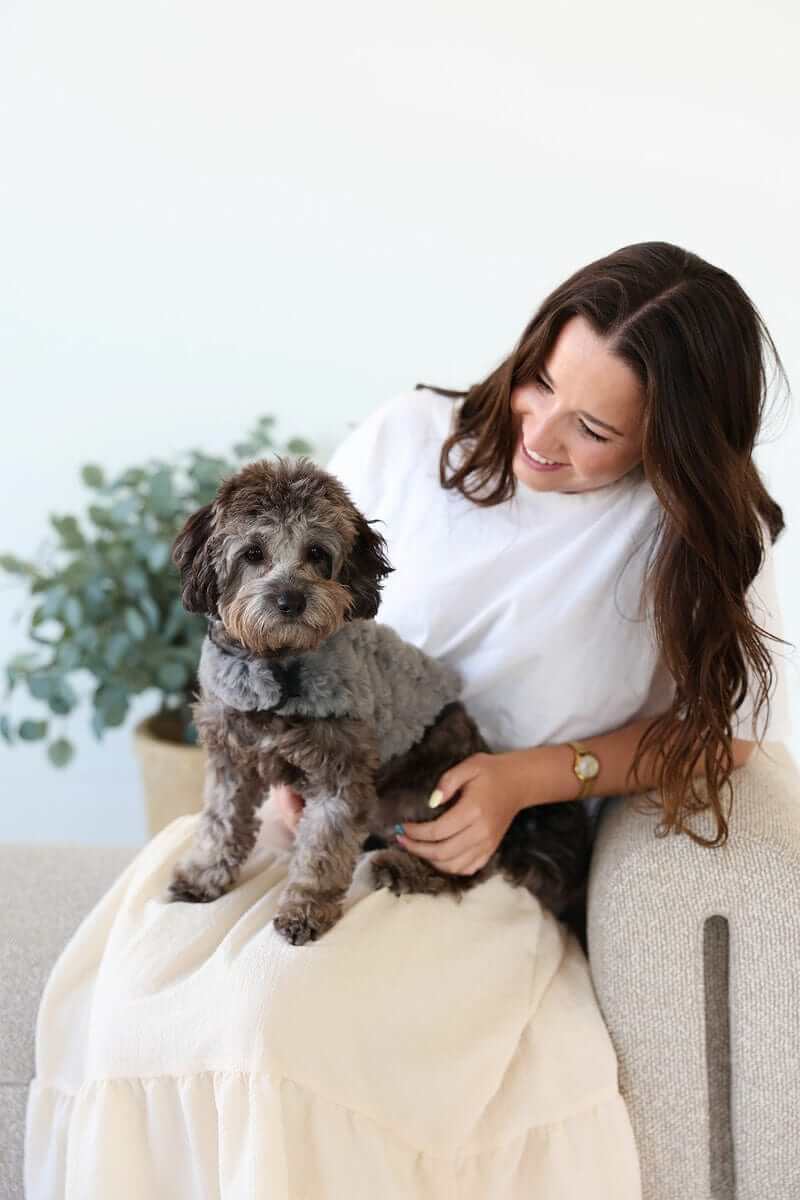 Pet Vest - Dark/Light Gray - Image 3