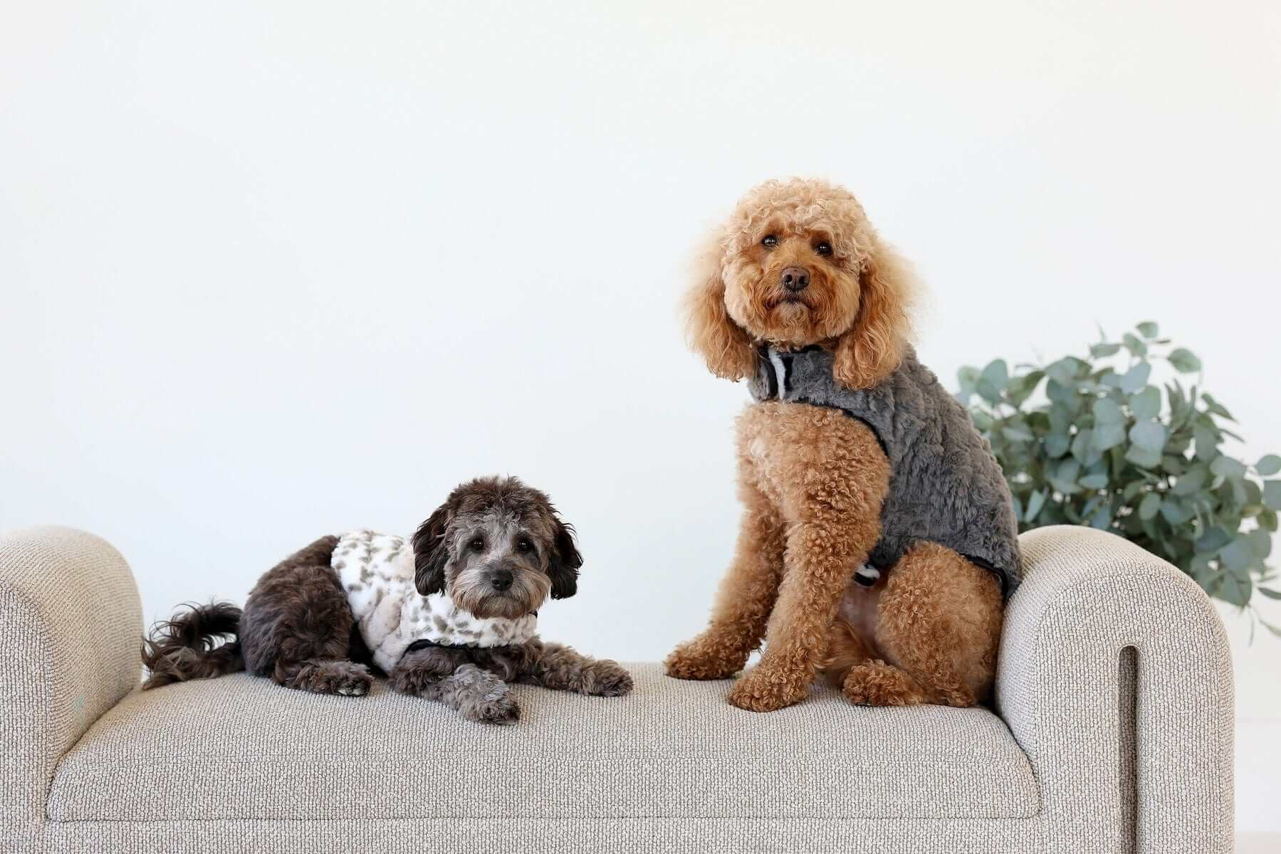 Pet Vest - Dark/Light Gray - Image 4