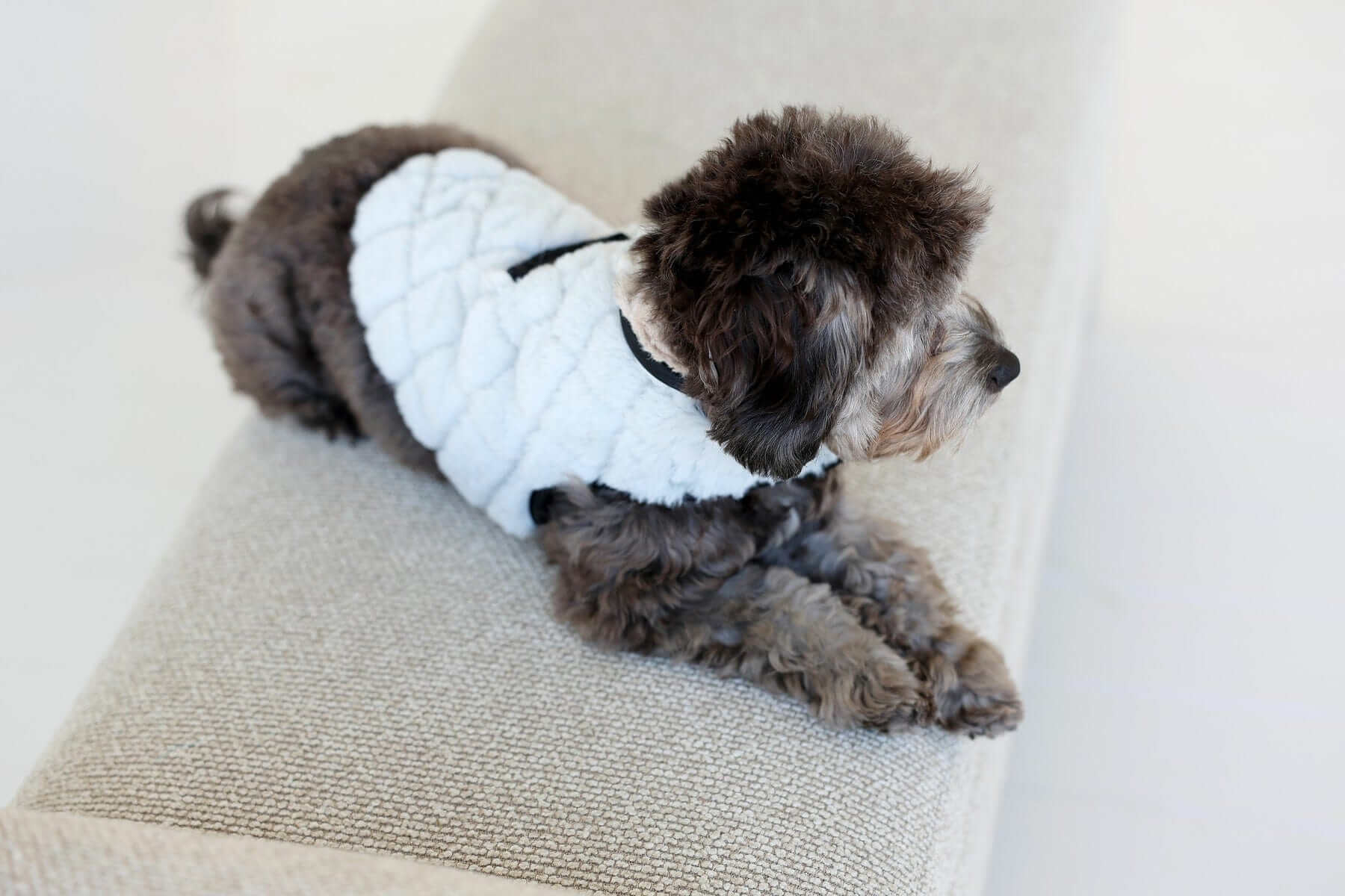 Pet Vest - Sandra/Light Gray - Image 3