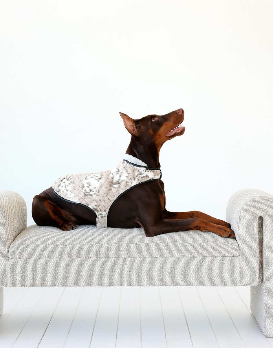 Pet Vest - Sandra/Light Gray - Image 4
